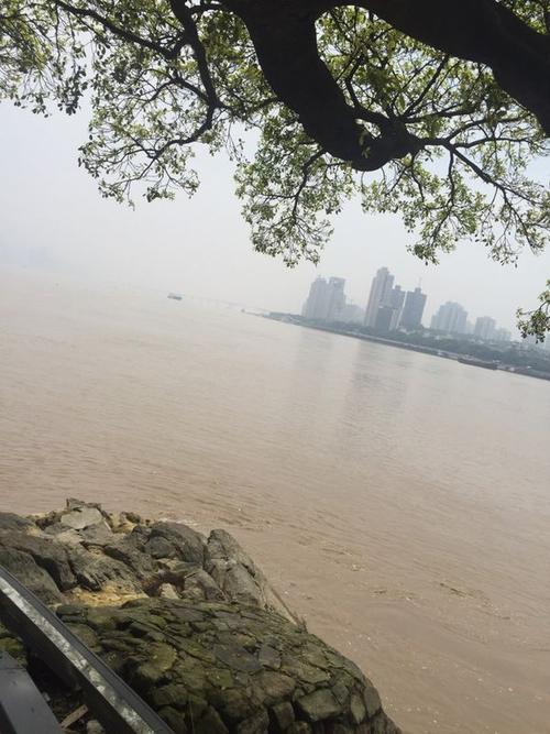 我眼中的温州