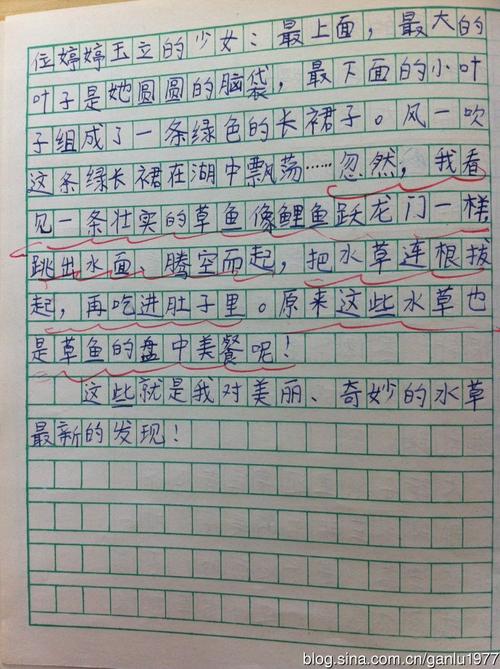 写小仓鼠的出色构图