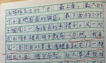 写小仓鼠的优秀作文