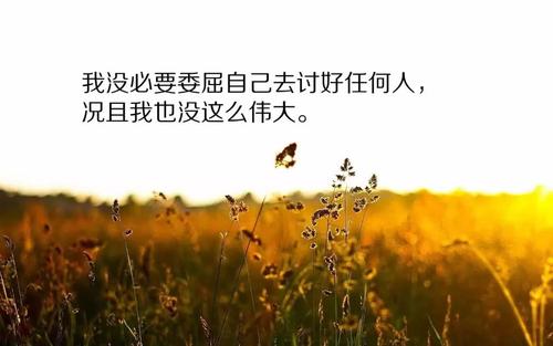 早上好，我的植物朋友