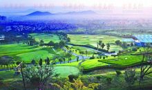 那条街道，风景独好