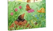 我爱我的伙伴——书