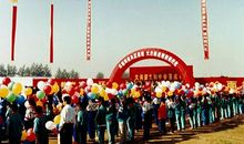 我和家乡的故事