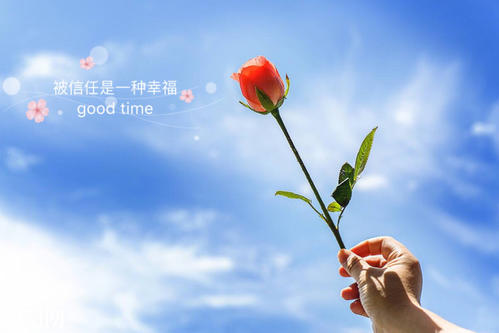 有一种美丽叫做信任