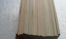 提高科学素养，你我之责