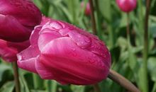 最吸引我的公园