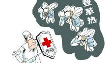 一次难忘的大扫除