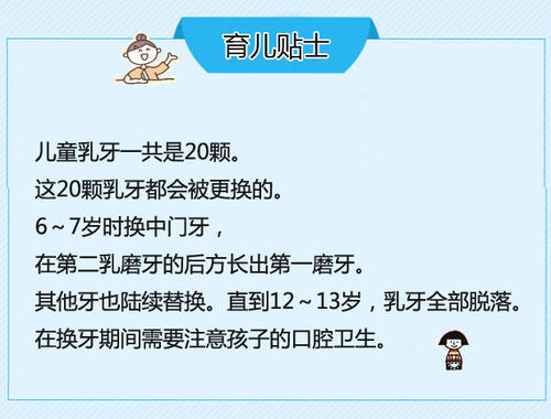 回顾成长仪式