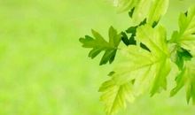 懂得，无需炫耀