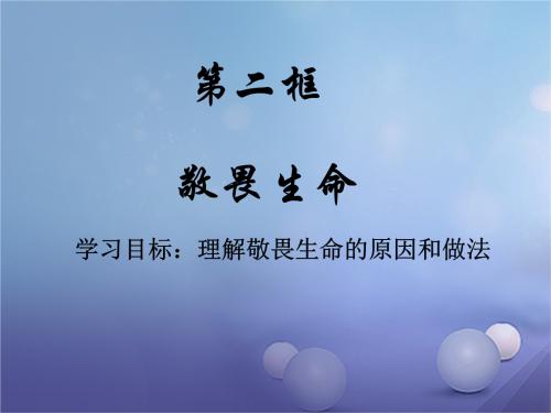 敬畏生命