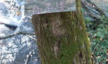 爱心的摇篮－－家