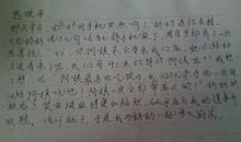 三年级包饺子作文