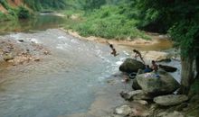 我记忆中家乡的小溪