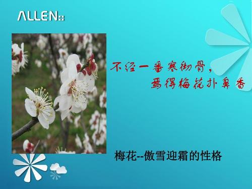 持久的力量无处不在