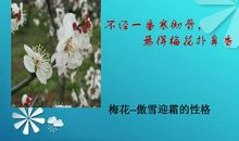 坚持的力量无处不在