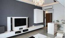 我家的黑白电视