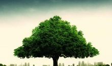 陪伴让岁月多了一份珍重