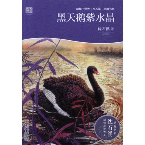 关于阅读《黑天鹅紫水晶》的思考