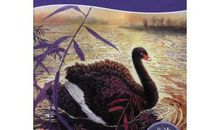 读《黑天鹅紫水晶》有感