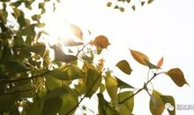 陪伴让岁月多了一份色彩