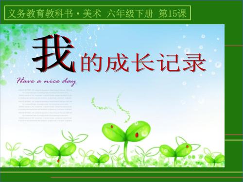 我的成长记录