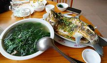 在饭店吃饭的启示