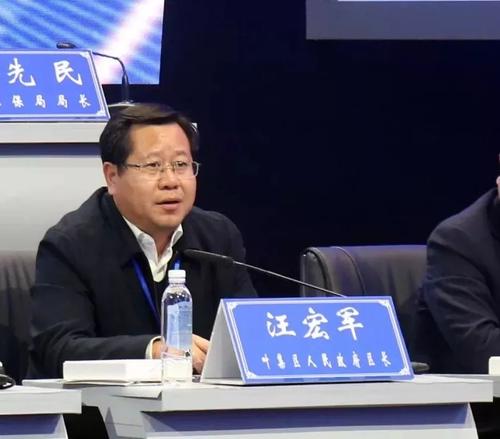 我当了市长