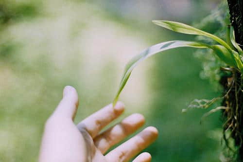 在短暂的岁月里，你是我的温柔