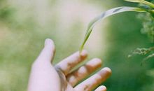 你是我流年里不舍的温柔