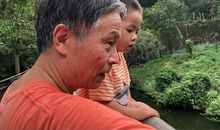 奶奶家的“动物园”