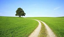 种一片绿色，还一片蓝天