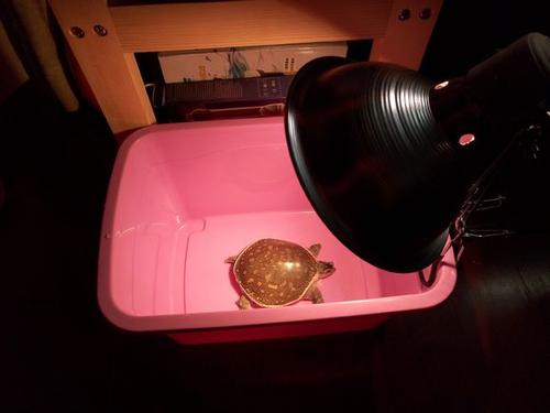 逃生瓶