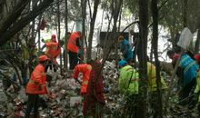 家乡门前的小树林