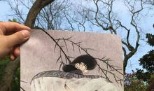 在你的诗中读你