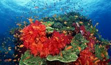 因为创新世界才绚丽多彩