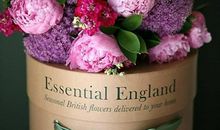 五月芳菲暗香沁