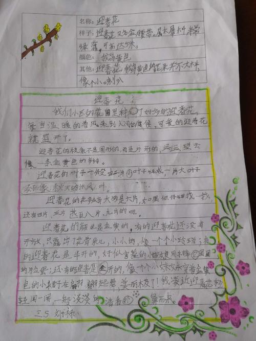 我的植物朋友