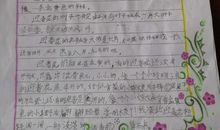 我的植物朋友们