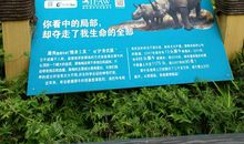 爱护动物从我做起