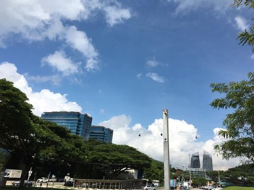 我想向妈妈展示世界