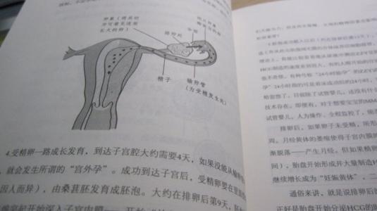 书本更长