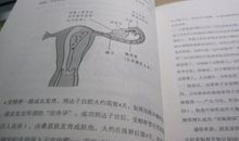 有书相伴滋味更长