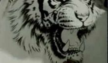 假如我是一支毛笔