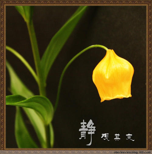 丢笔事件