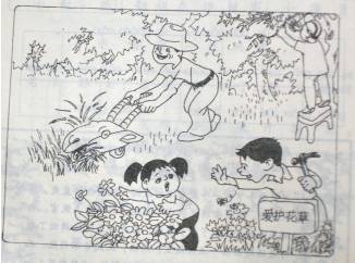 小学二年级看照片写友谊