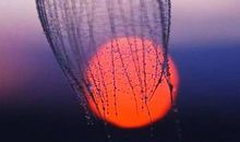 做自己很值得的