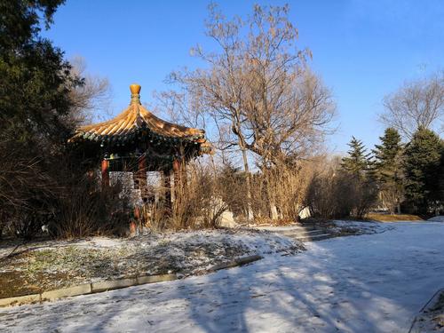 美丽的劳动公园