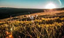 太阳是冬天的温暖