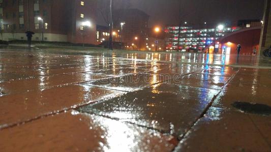 校园雨