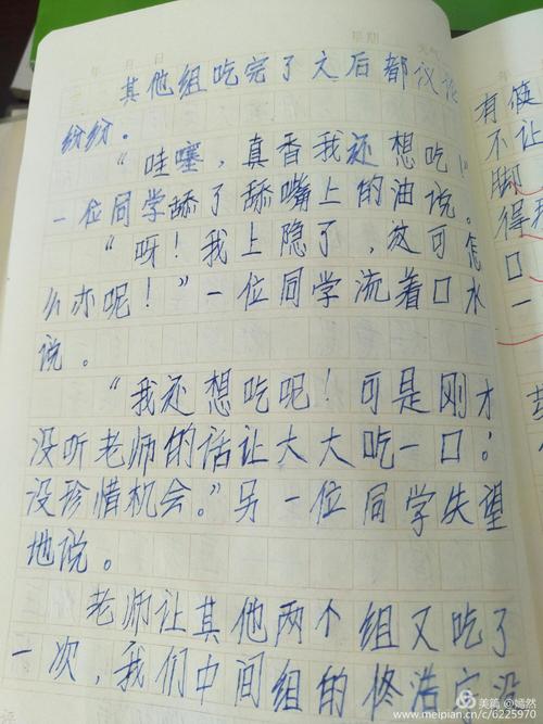 观察豆芽的生长组成400字